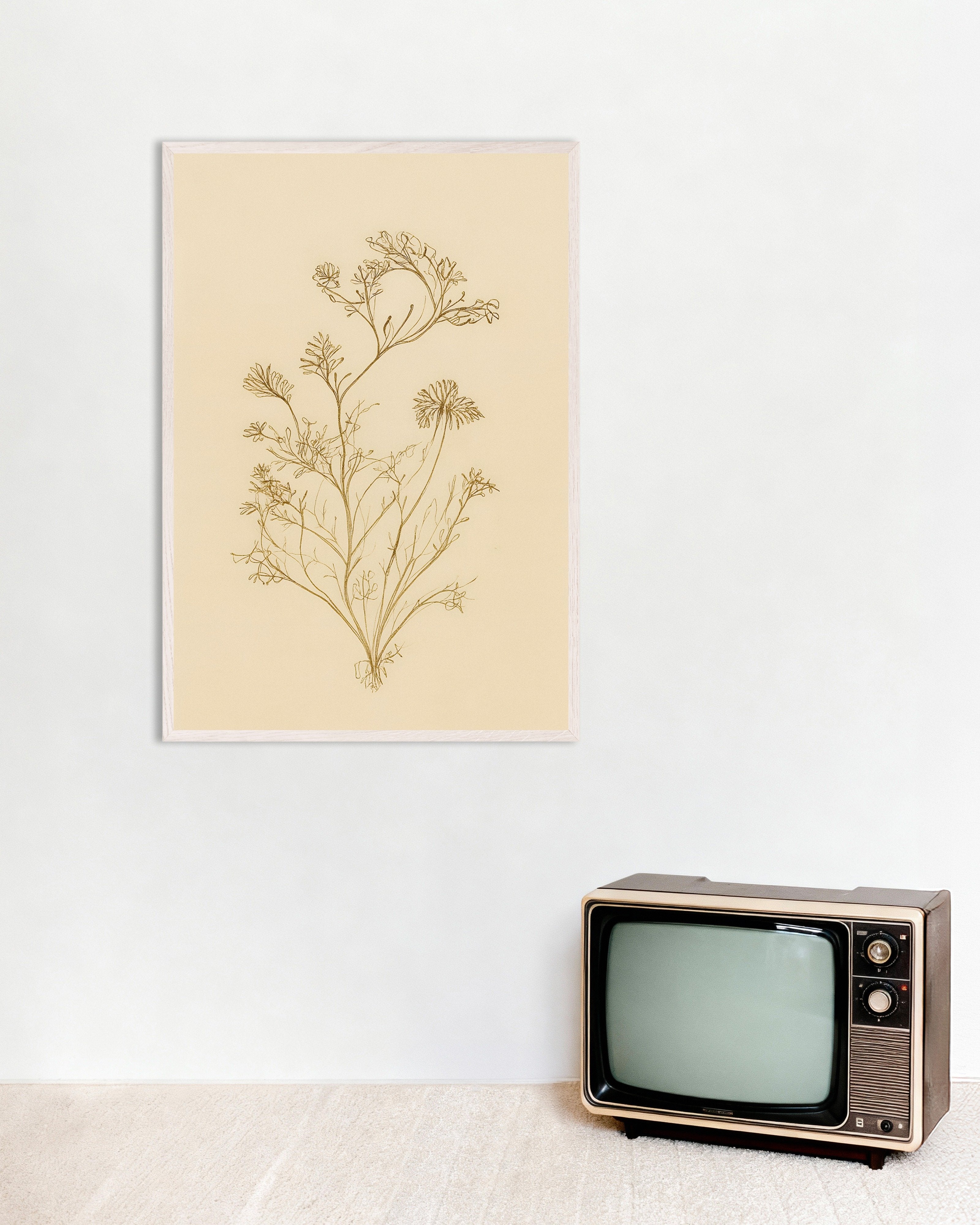 Poster of Dried Umbellifer Poster – Autumn Botanical Sketch, with white wooden frame