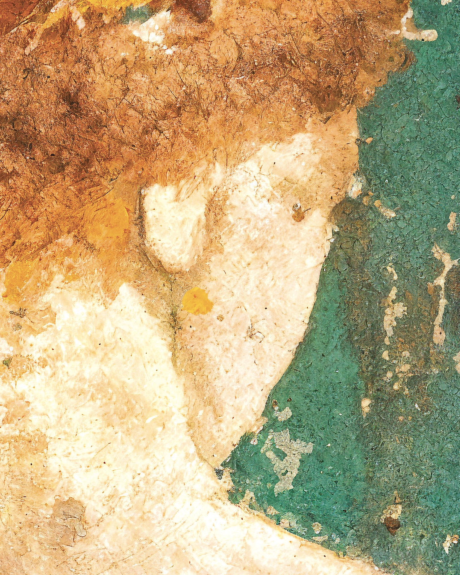 스타비아 식물상, 프리마베라 프레스코 디테일 - 포스터